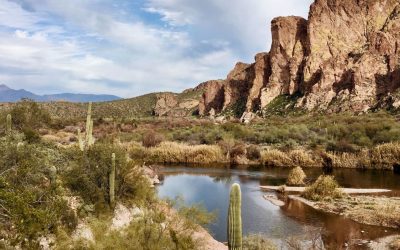 Explore Buckskin Mountain State Park, Parker, Arizona’s Outdoor Paradise