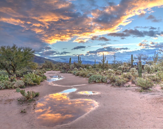 Explore Buckskin Mountain State Park, Parker, Arizona’s Outdoor Paradise