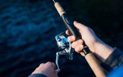 What Type of Fish Can You Catch in Parker, Arizona?